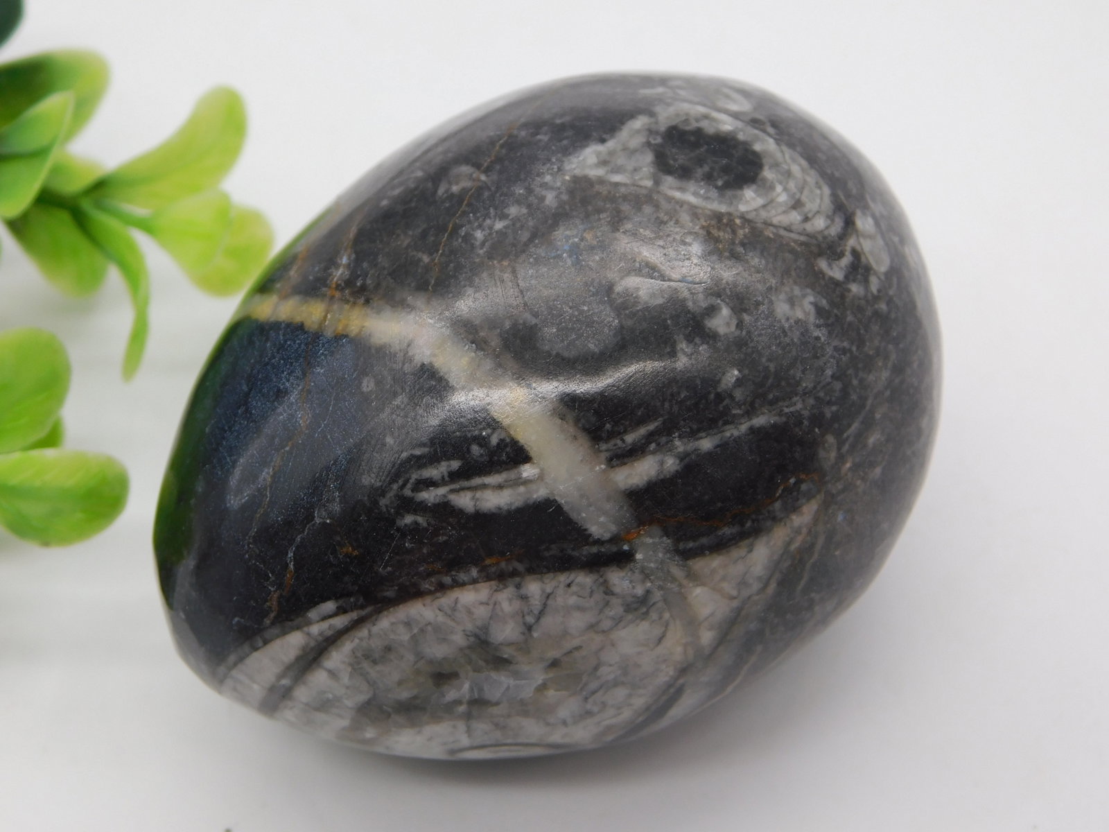 Polished Hematite Egg Stone Specimen Rock Stone Lapidary Specimen (1 of 1)