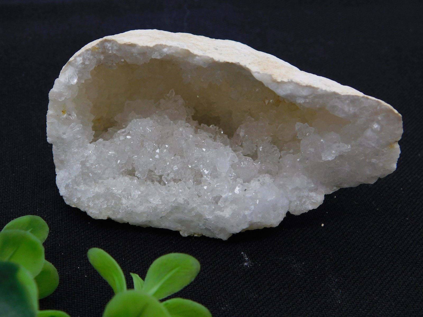 Quartz Geode White Translucent Crystal Lined Interior Rock Stone Lapidary Specimen: Quartz Geode White Translucent Crystal Lined Interior Rock Stone Lapidary Specimen. This exceptional geode features a striking white to creamy matrix exterior encasing a beautifully mineralized interi