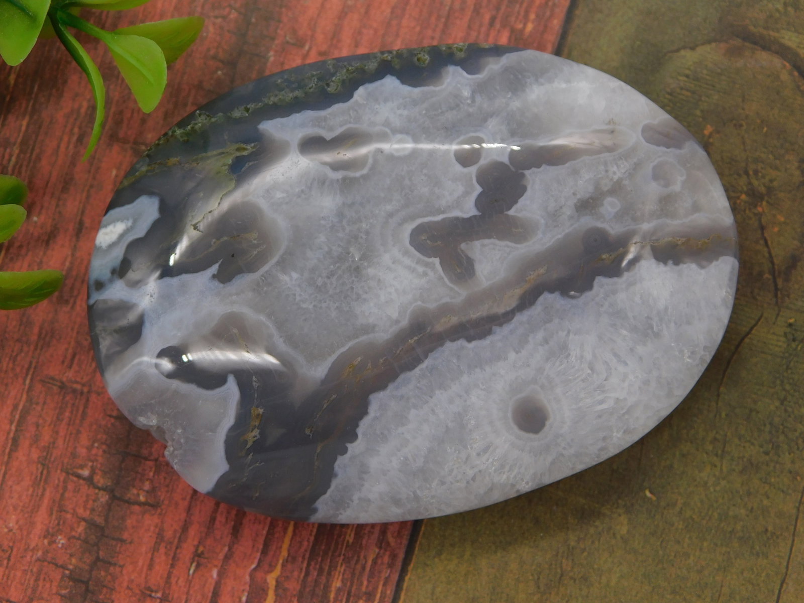 Polished Agate Dendritic Banded Gray White Specimen Rock Stone Lapidary (1 of 1)