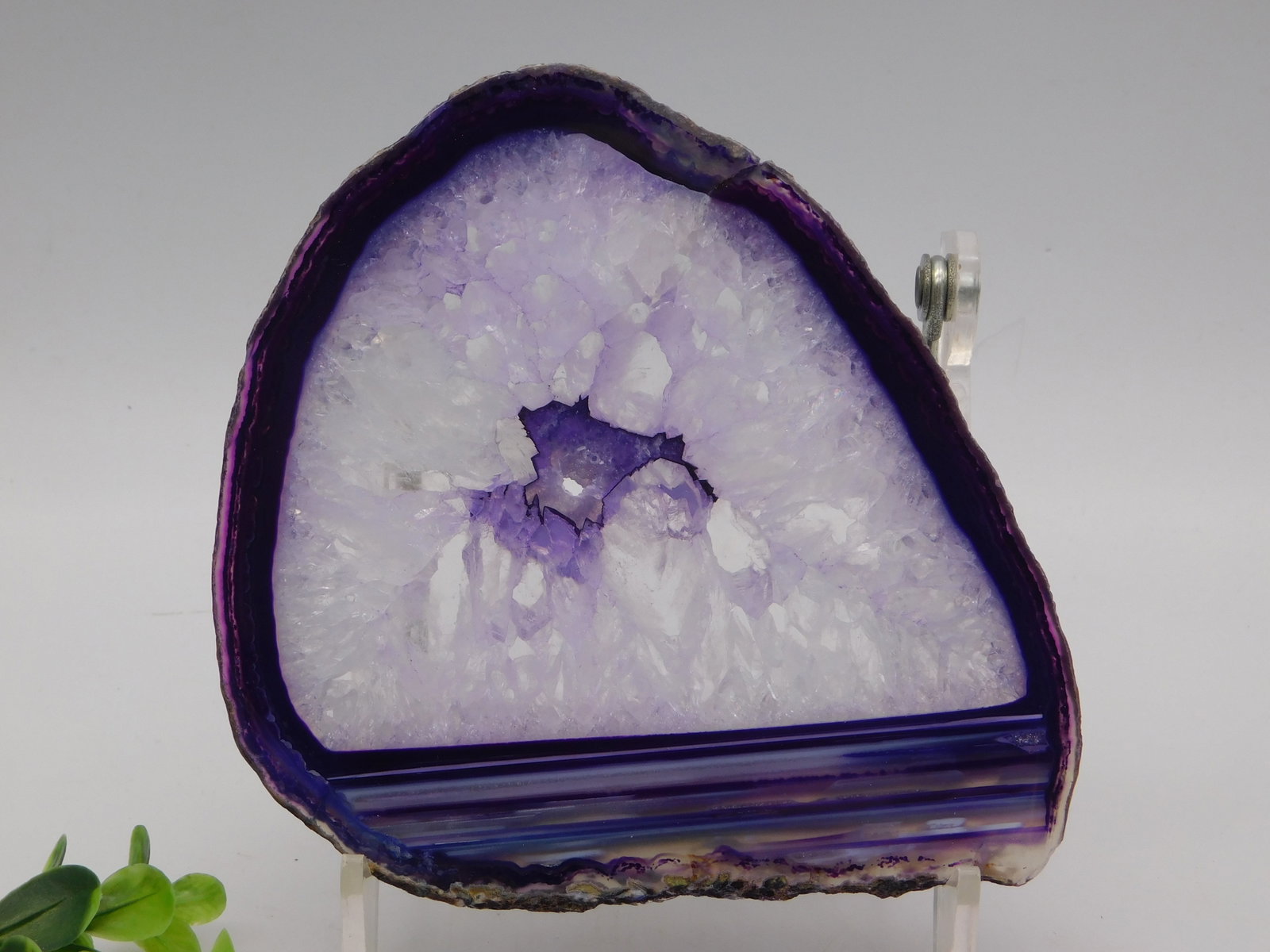 Polished Amethyst Geode Slice Display Specimen Purple Quartz Crystal Rock Stone Lapidary Specimen (1 of 2)