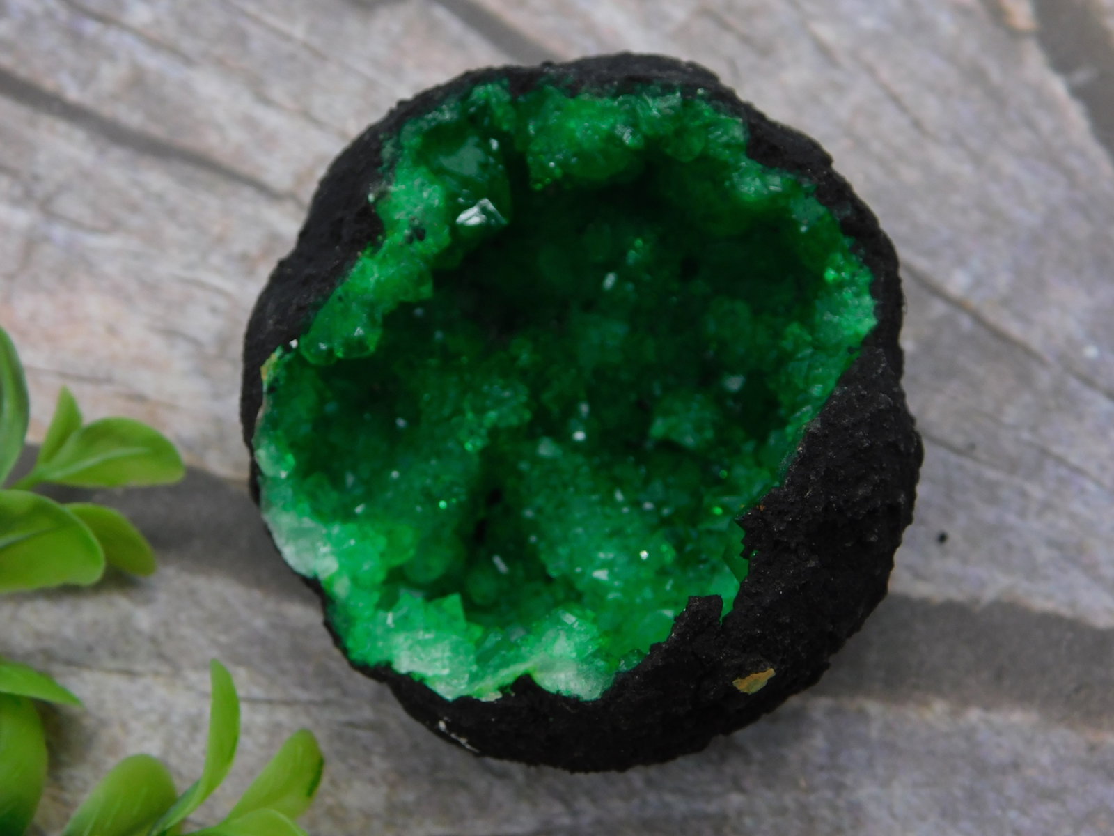 Malachite Green Crystal Specimen Black Host Rock Stone Lapidary Specimen (1 of 4)