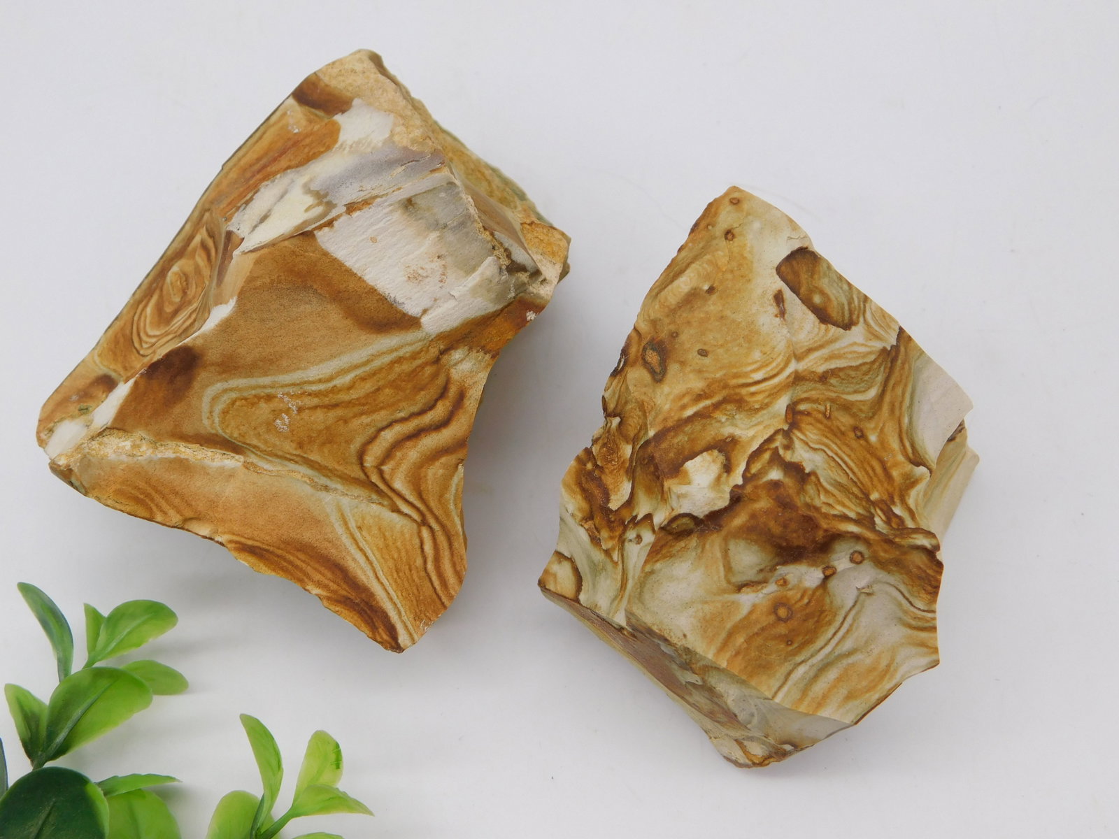 JASPER Polished Specimens Lapidary 447g Rock Stone Lapidary Specimen (1 of 3)