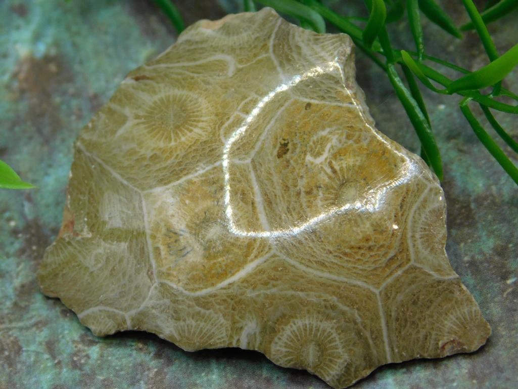 JEWELRY SALE! ROCK STONE LAPIDARY SPECIMEN (1 of 4)