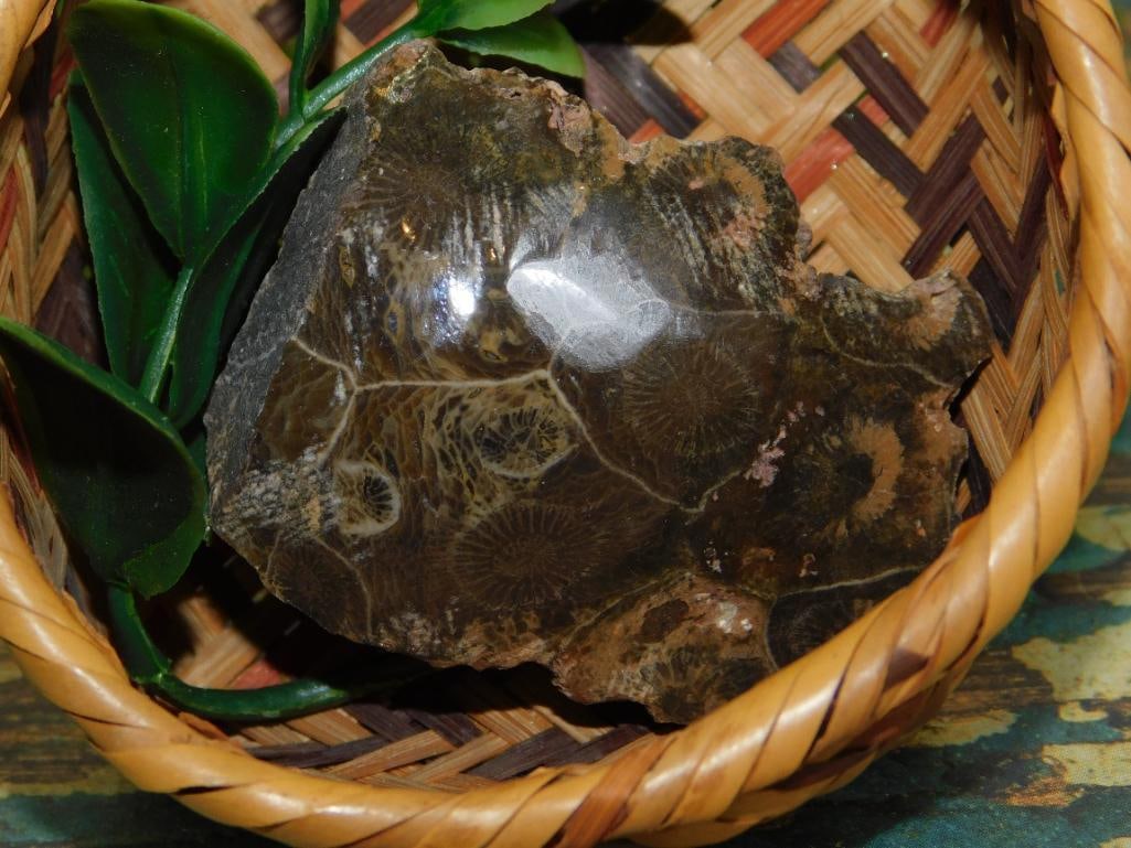 JEWELRY SALE! ROCK STONE LAPIDARY SPECIMEN (1 of 3)