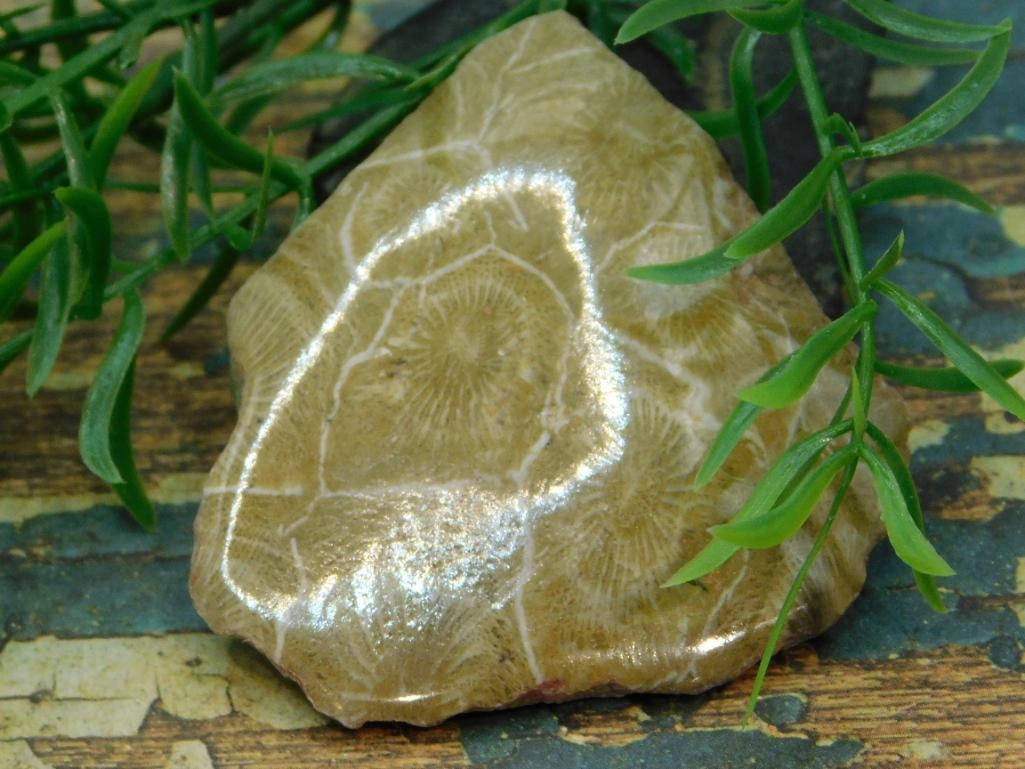JEWELRY SALE! ROCK STONE LAPIDARY SPECIMEN (1 of 4)
