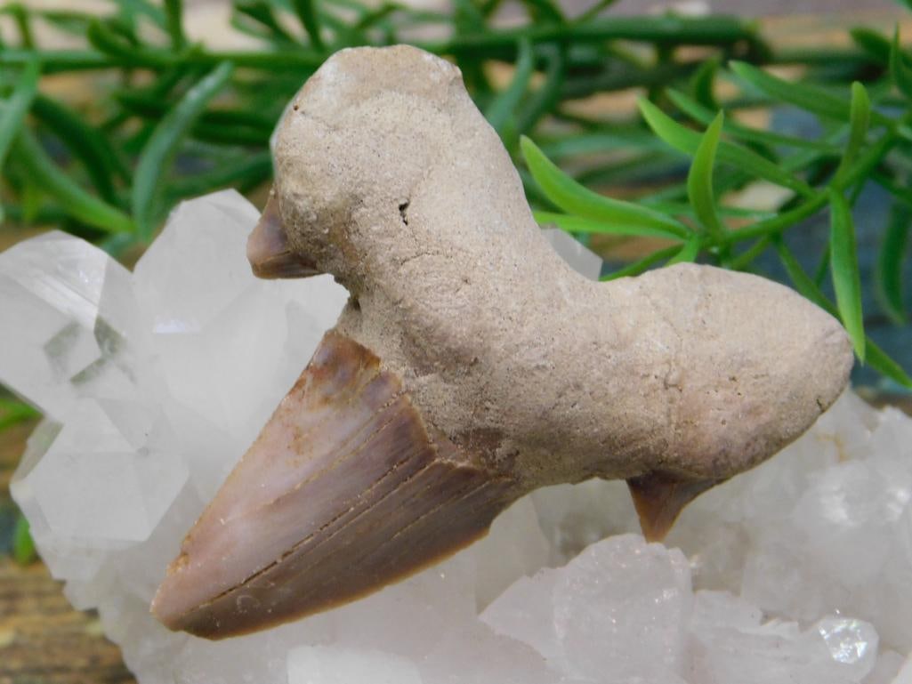 JEWELRY SALE! ROCK STONE LAPIDARY SPECIMEN: JEWELRY SALE! ROCK STONE LAPIDARY SPECIMEN - Part of our Discover Antique Alley, Crystals and Gems auction at HATMAN'S Auctions! Please see photos for measurements and condition. YES, we have in-house