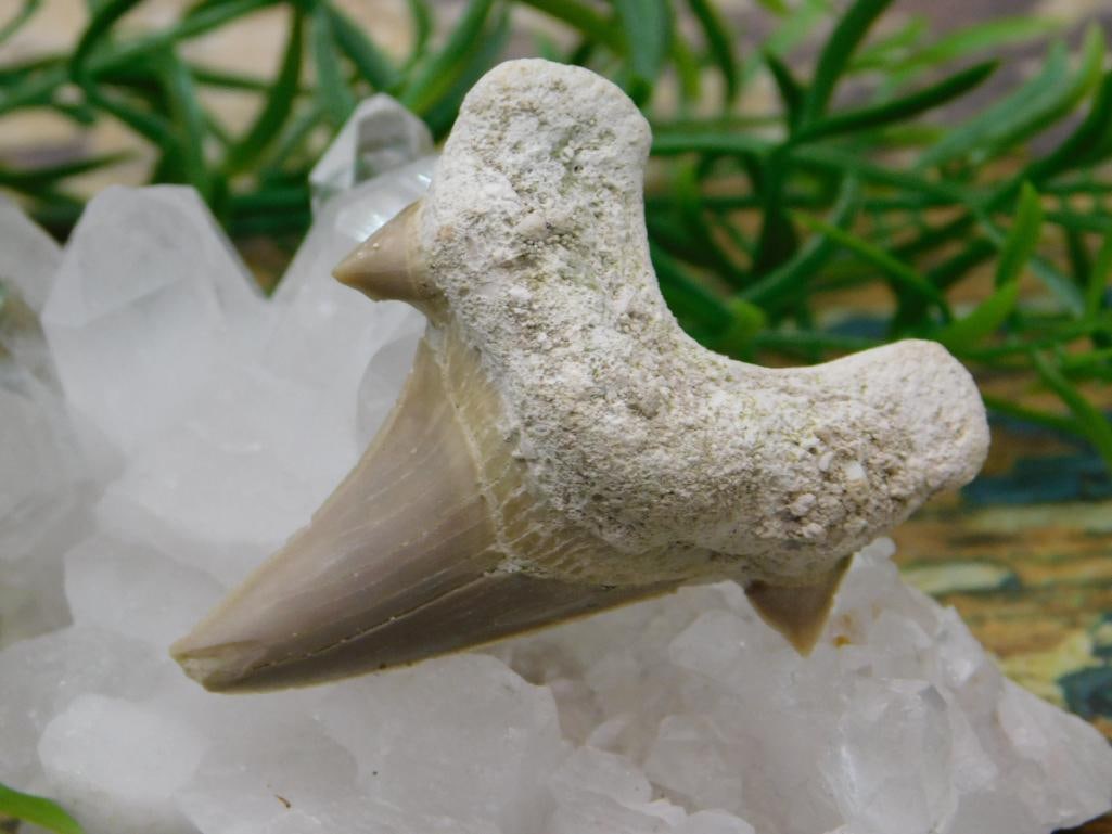 JEWELRY SALE! ROCK STONE LAPIDARY SPECIMEN: JEWELRY SALE! ROCK STONE LAPIDARY SPECIMEN - Part of our Discover Antique Alley, Crystals and Gems auction at HATMAN'S Auctions! Please see photos for measurements and condition. YES, we have in-house