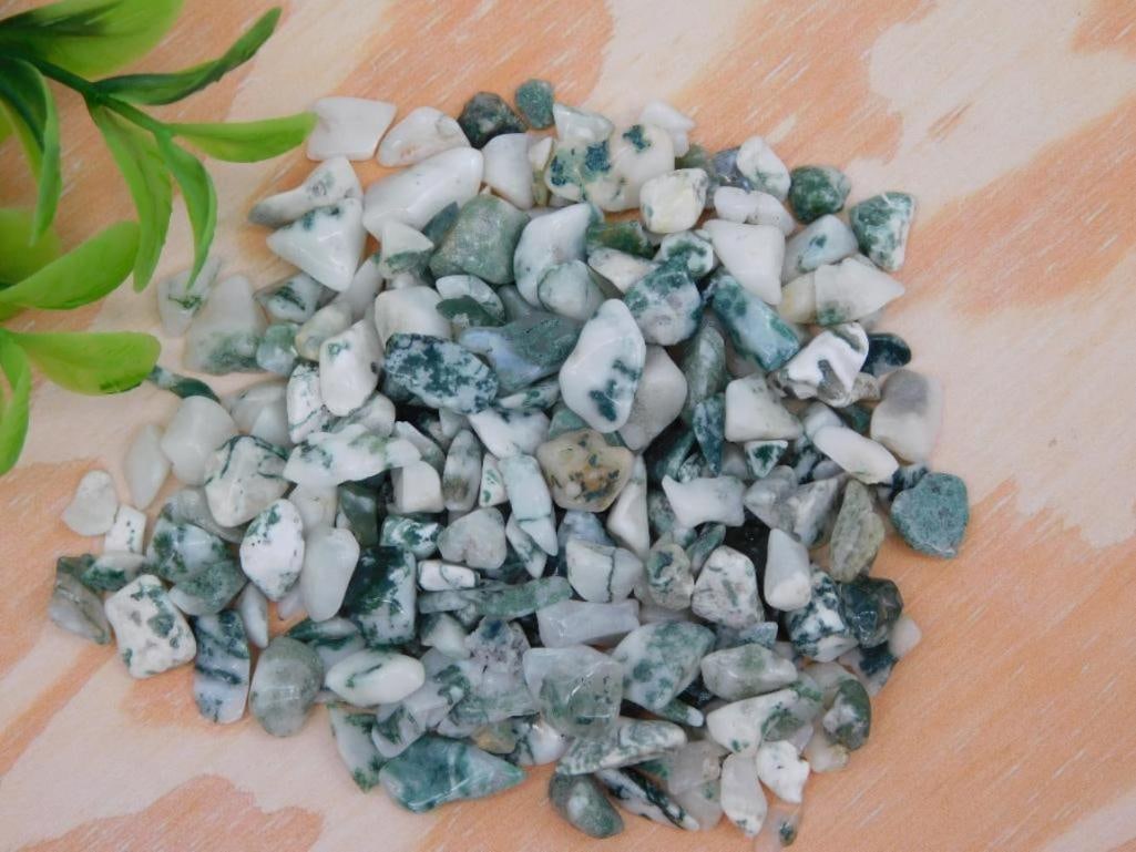 TREE AGATE ROCK STONE LAPIDARY SPECIMEN (1 of 1)