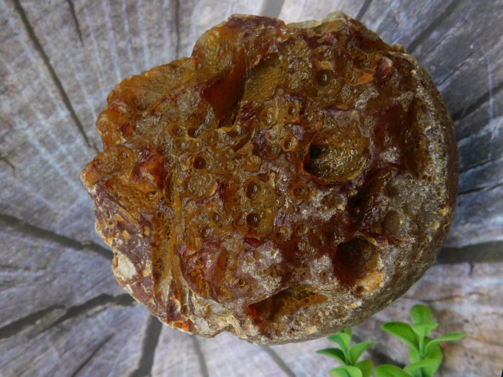 Natural Rock Specimen With Unique Geological Features: Natural Rock Specimen With Unique Geological Features
