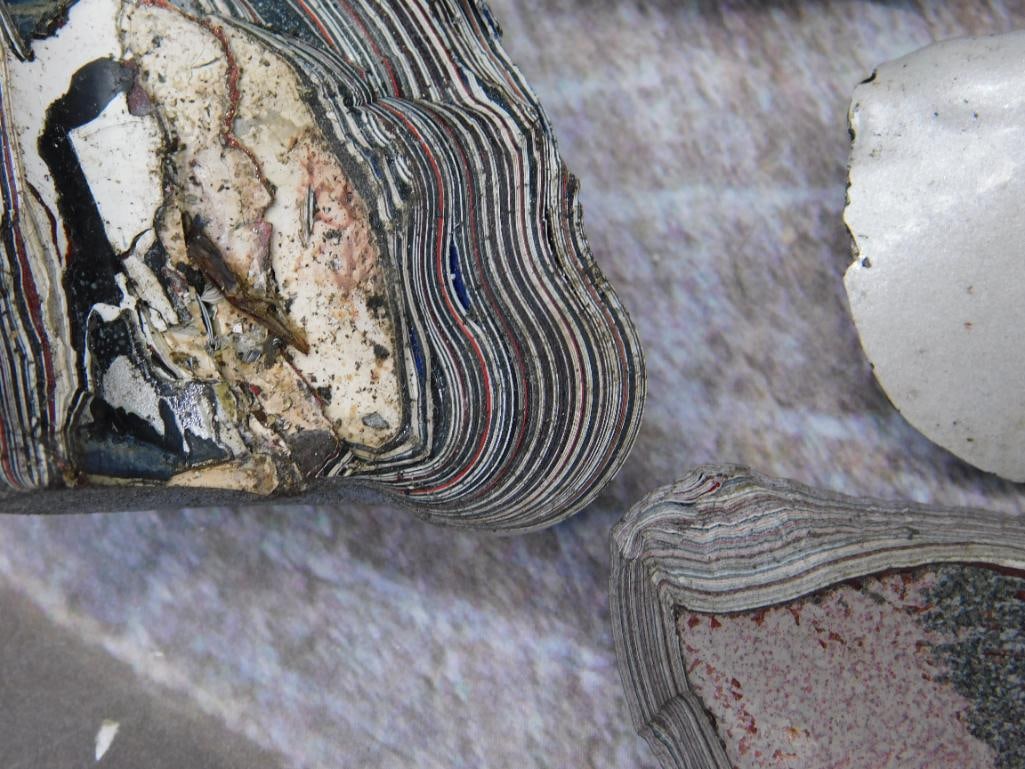 Fordite Motor City Agate - 2