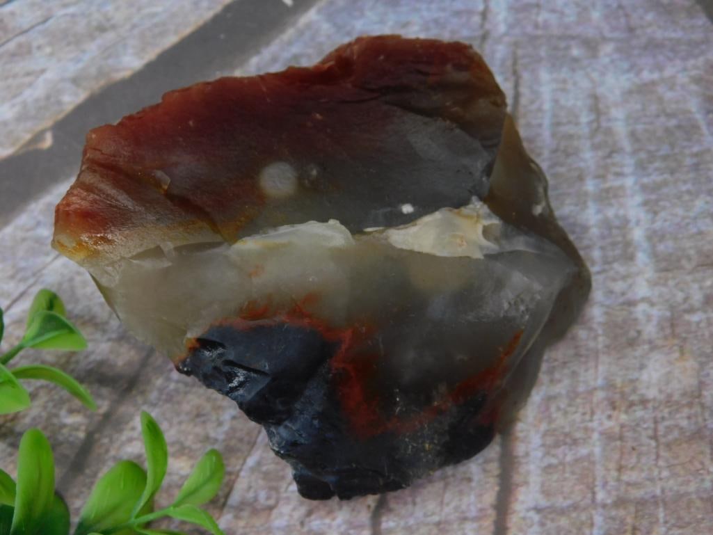 Polished Multi-Colored Jasper Specimen: Polished Multi-Colored Jasper Specimen