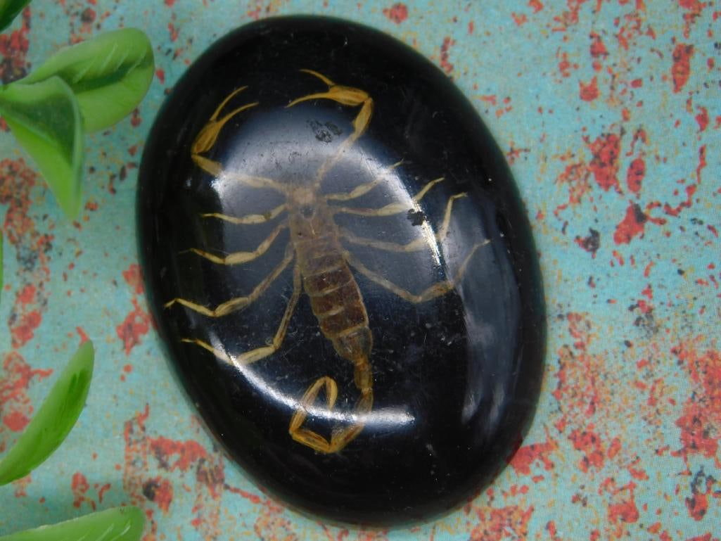 Oval Black Stone With Embedded Scorpion Design: Oval Black Stone With Embedded Scorpion Design