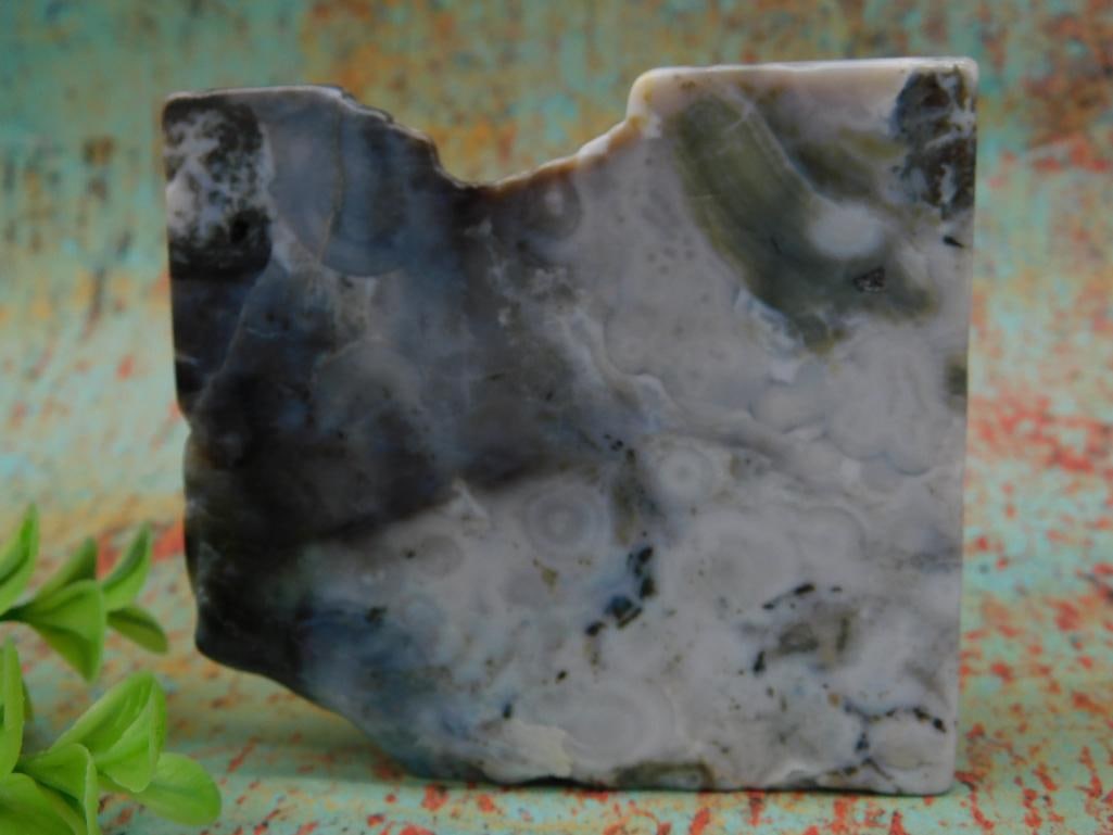 Polished LUNA Agate Stone Specimen with Unique Patterns: Polished LUNA Agate Stone Specimen with Unique Patterns