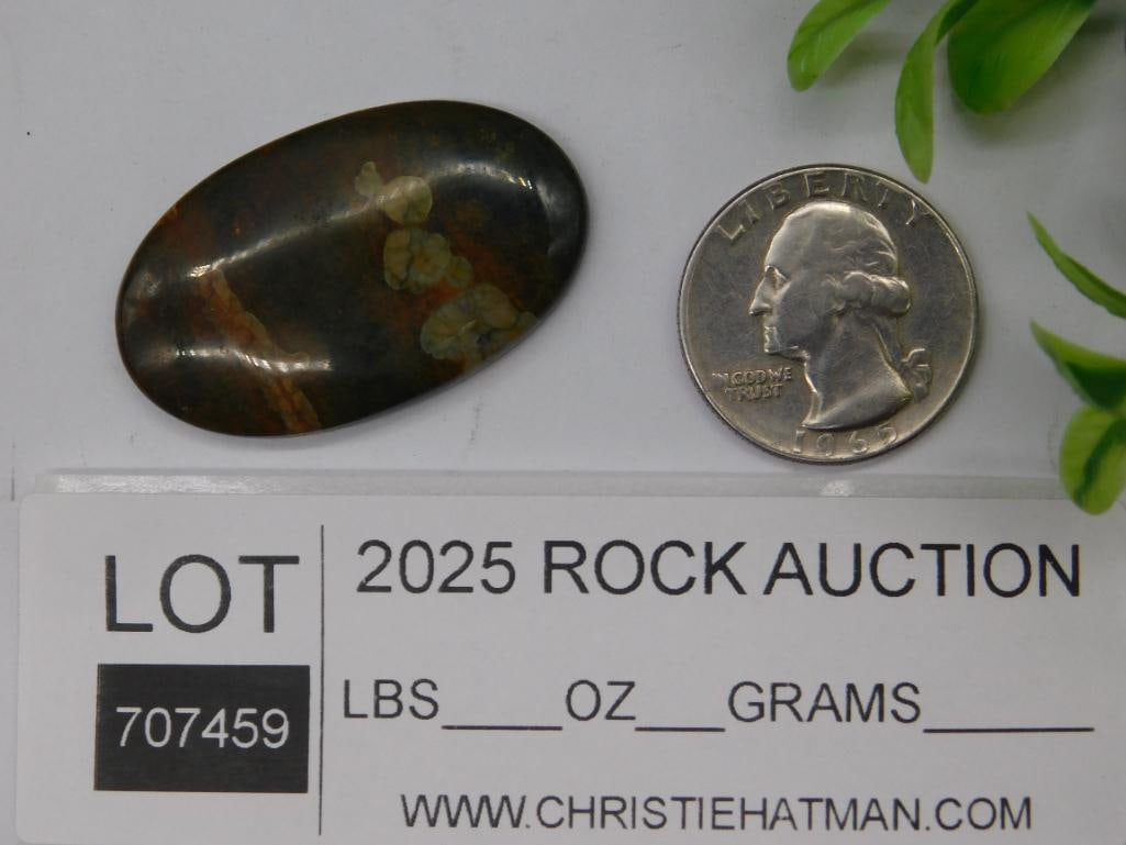 Polished Oval Jasper Cabochon Multicolored - 2