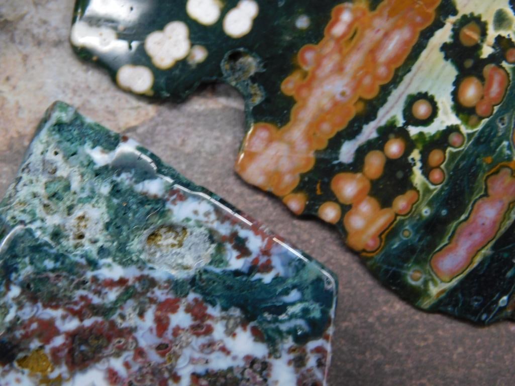 Polished Ocean Jasper Slabs With Unique Patterns - 2