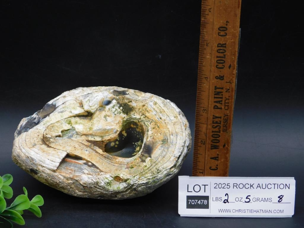 Large Agate Rock Stone Lapidary Specimen - 3