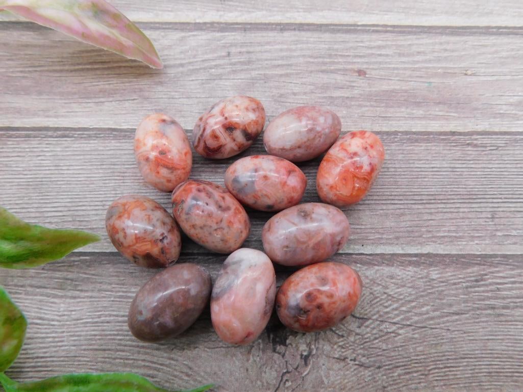 Collection of Polished Red Jasper Stones: Collection of Polished Red Jasper Stones