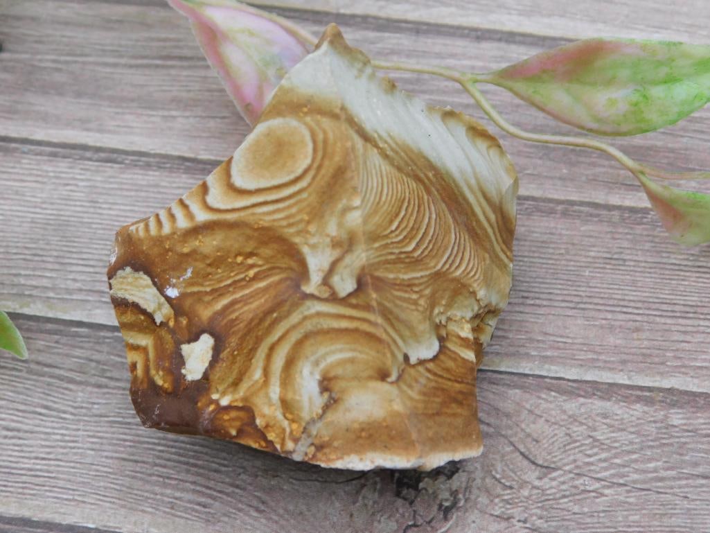 Jasper Stone Specimen - 2