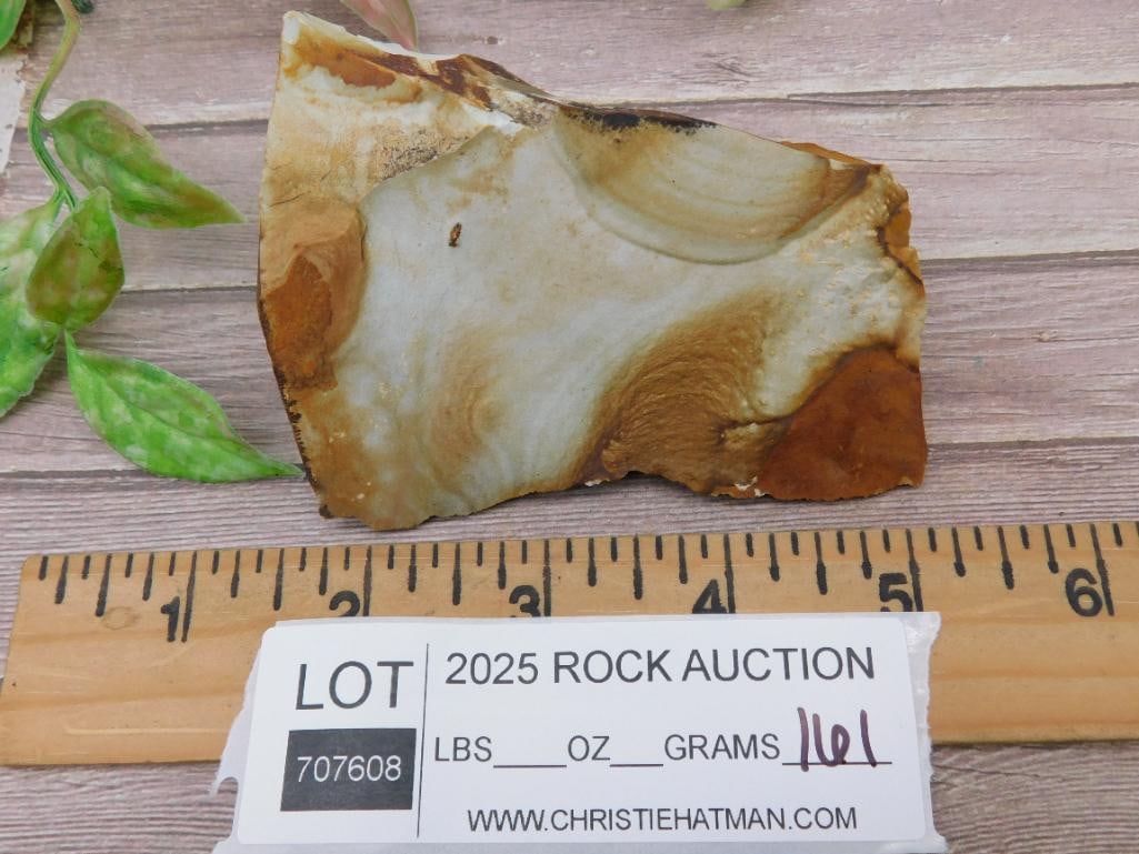 Jasper Rock Specimen with Swirling Patterns - 3