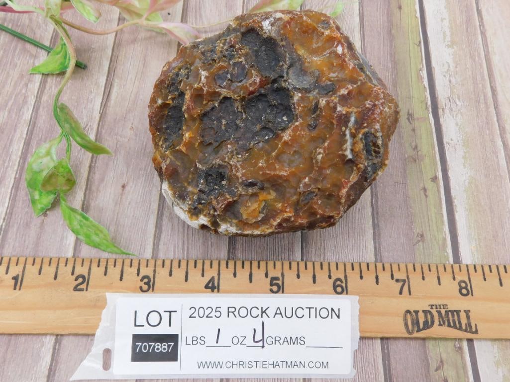 Raw Geode Rock Stone Lapidary Specimen - 3