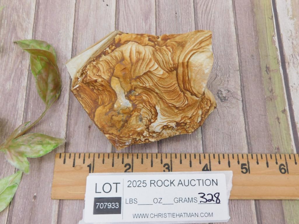 Jasper Rock Stone Lapidary Specimen with Unique Patterns - 2
