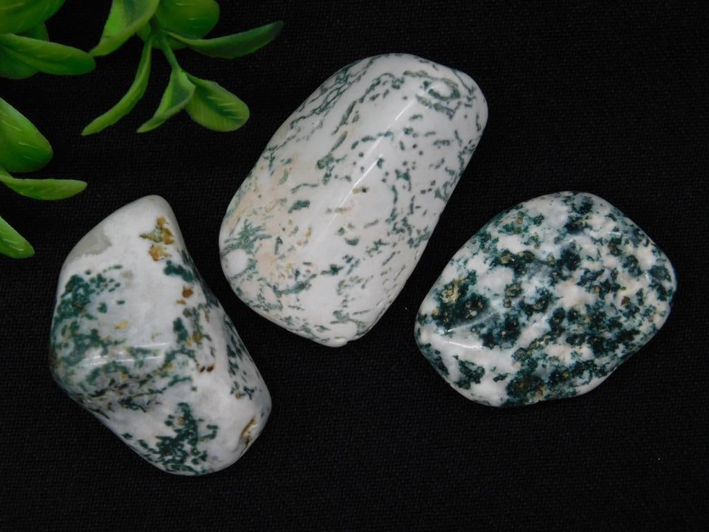 Polished Dendritic Tree Agate Stones Lot with Measurement: Polished Dendritic Tree Agate Stones Lot with Measurement