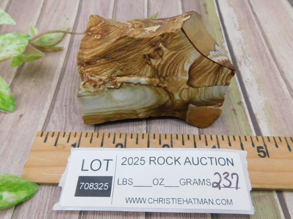 Jasper Specimen - 2