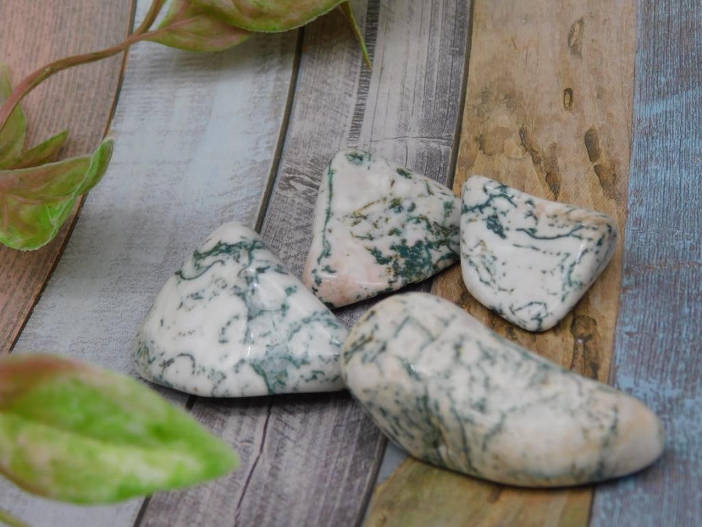 TREE AGATE Rock Stone Lapidary Specimen: TREE AGATE Rock Stone Lapidary Specimen
