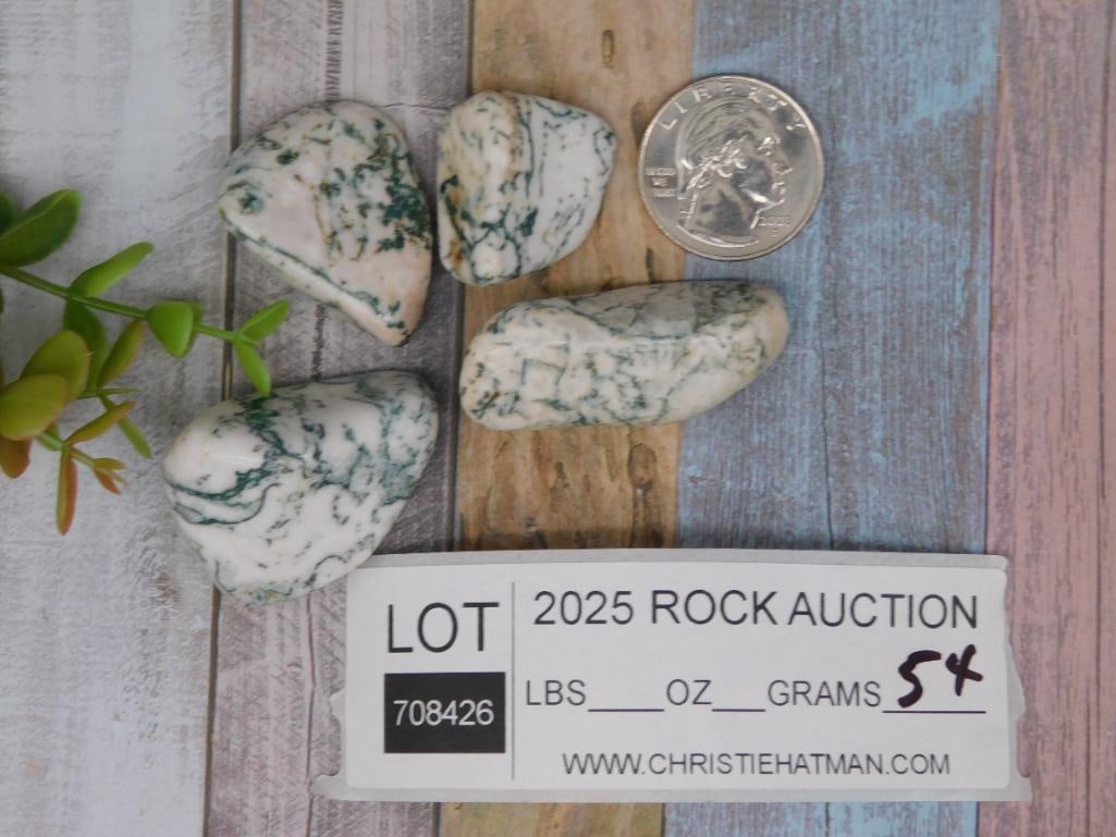 TREE AGATE Rock Stone Lapidary Specimen - 2