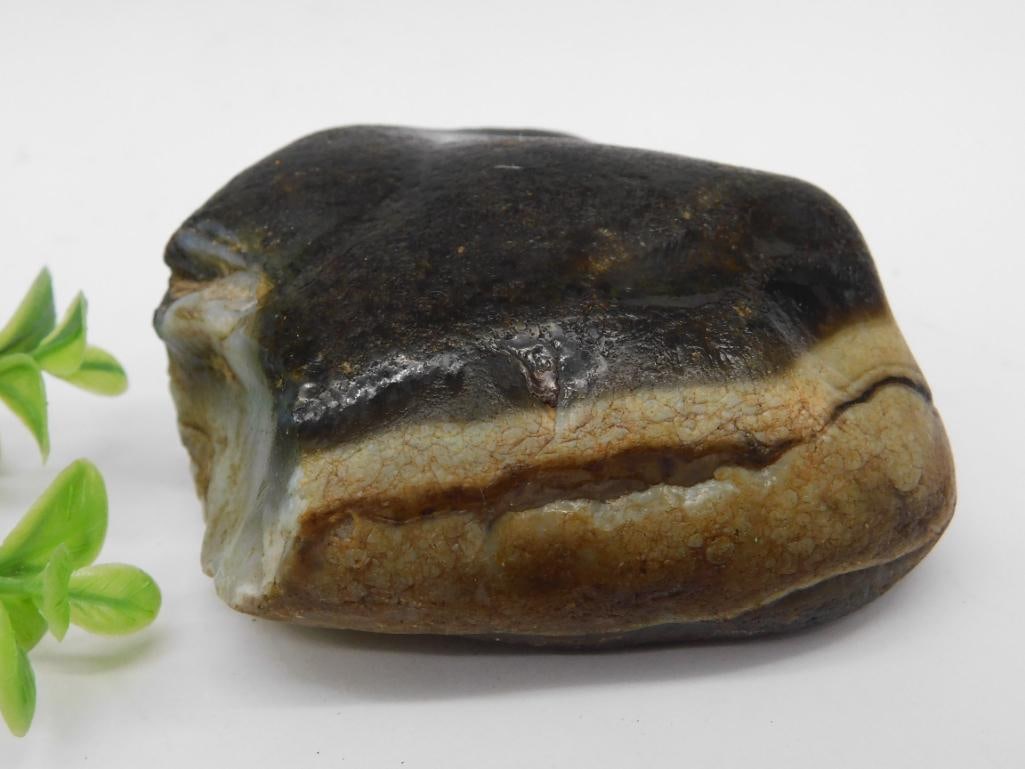 Rock Rock Stone Lapidary Specimen ? 358 Grams (1 of 2)