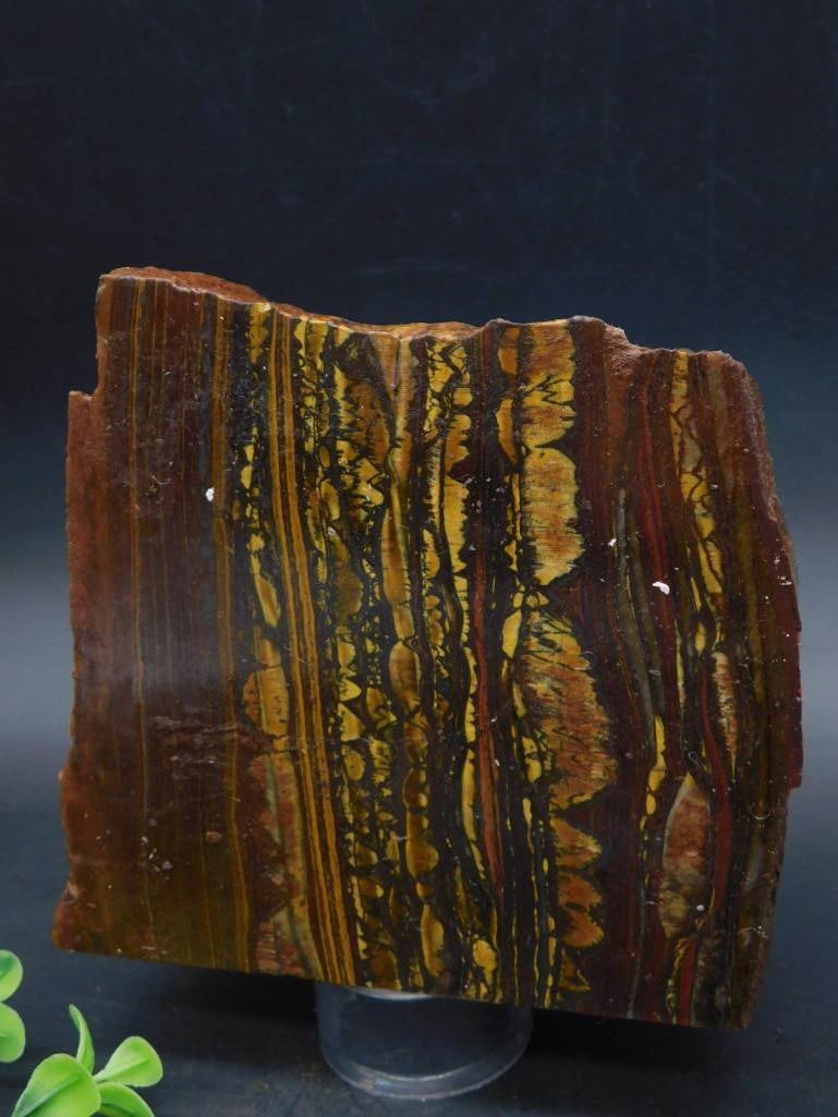 4 POUND TIGER IRON ROCK STONE LAPIDARY SPECIMEN: - Natural polished tiger iron slab specimen | - Features layered patterns in shades of brown, gold, and black | - Unique striations and banding characteristic of tiger iron | - Suitable for