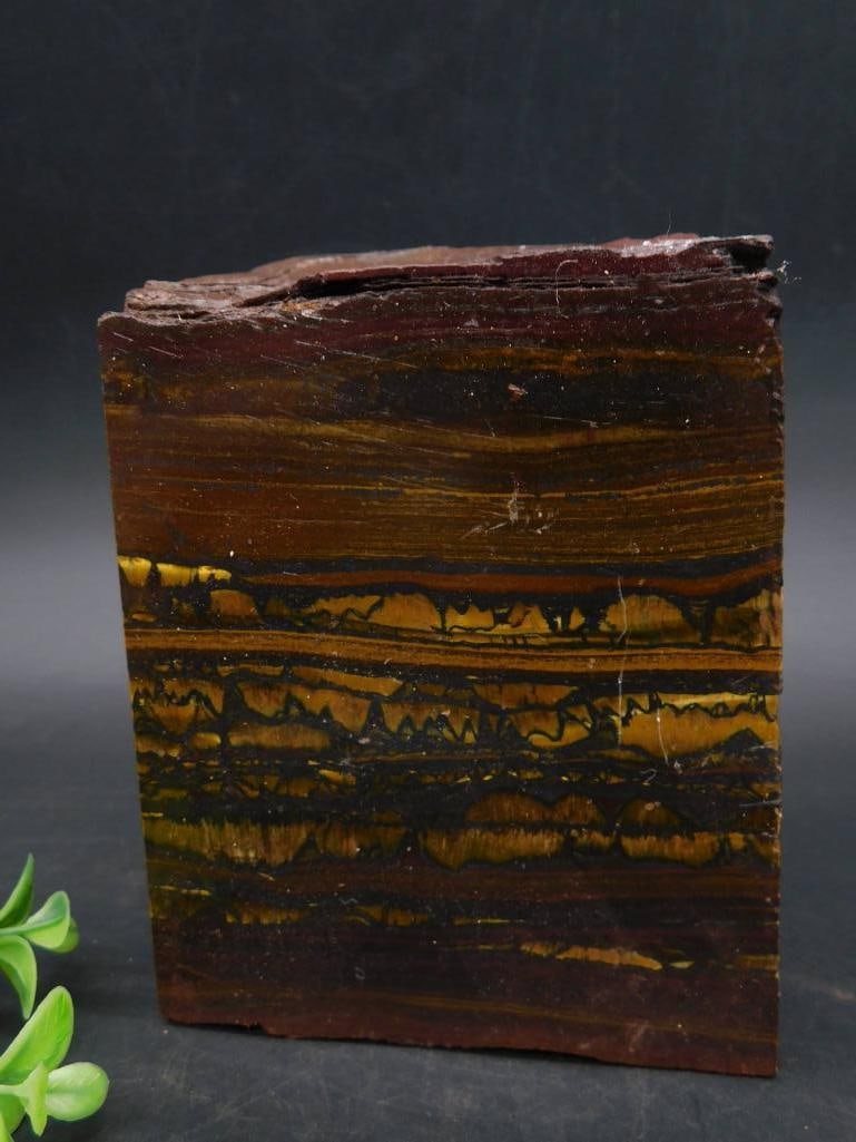 4 POUND 15 OUNCE TIGER IRON ROCK STONE LAPIDARY SPECIMEN: - Polished Tiger Eye stone slab featuring striking natural patterns. | - Weighs approximately 4 ounces (113 grams). | - Displays alternating golden, yellow, and brown hues with characteristic