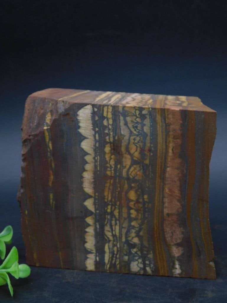 2 POUND TIGER IRON ROCK STONE LAPIDARY SPECIMEN: - Tiger Iron stone specimen with rich, layered patterns in shades of gold, brown, and black. | - Polished surface highlights the natural banded formations and unique textures. | - Displays a combinati
