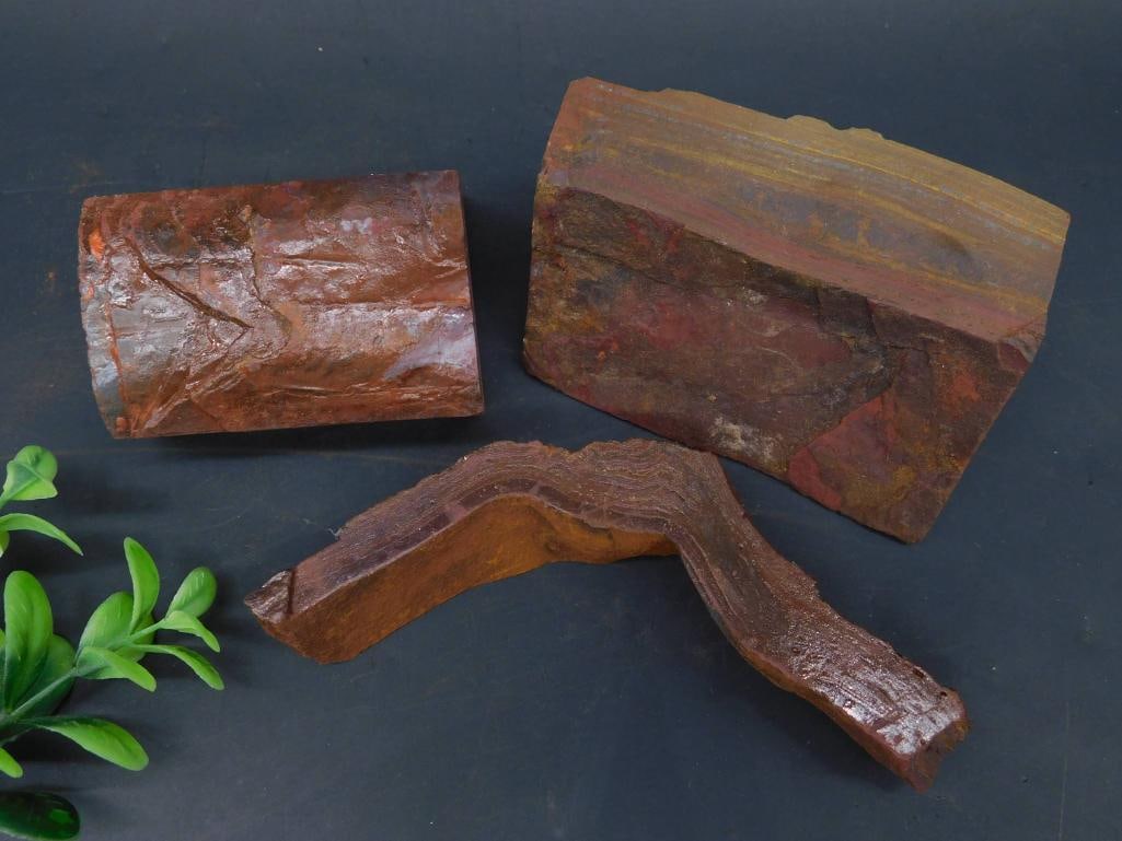 1 POUND 13 OUNCE TIGER IRON ROCK STONE LAPIDARY SPECIMEN: - Includes three unique pieces of petrified wood. | - Each piece showcases natural patterns and textures of fossilized wood. | - Varying shapes and sizes: includes a rectangular block, curved piece,