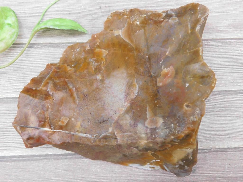 Reddish-Brown Rock Specimen for Auction - 2