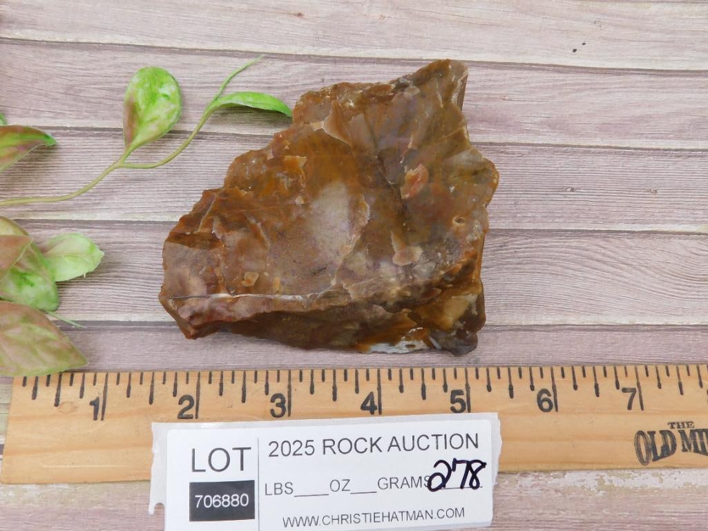 Reddish-Brown Rock Specimen for Auction - 3