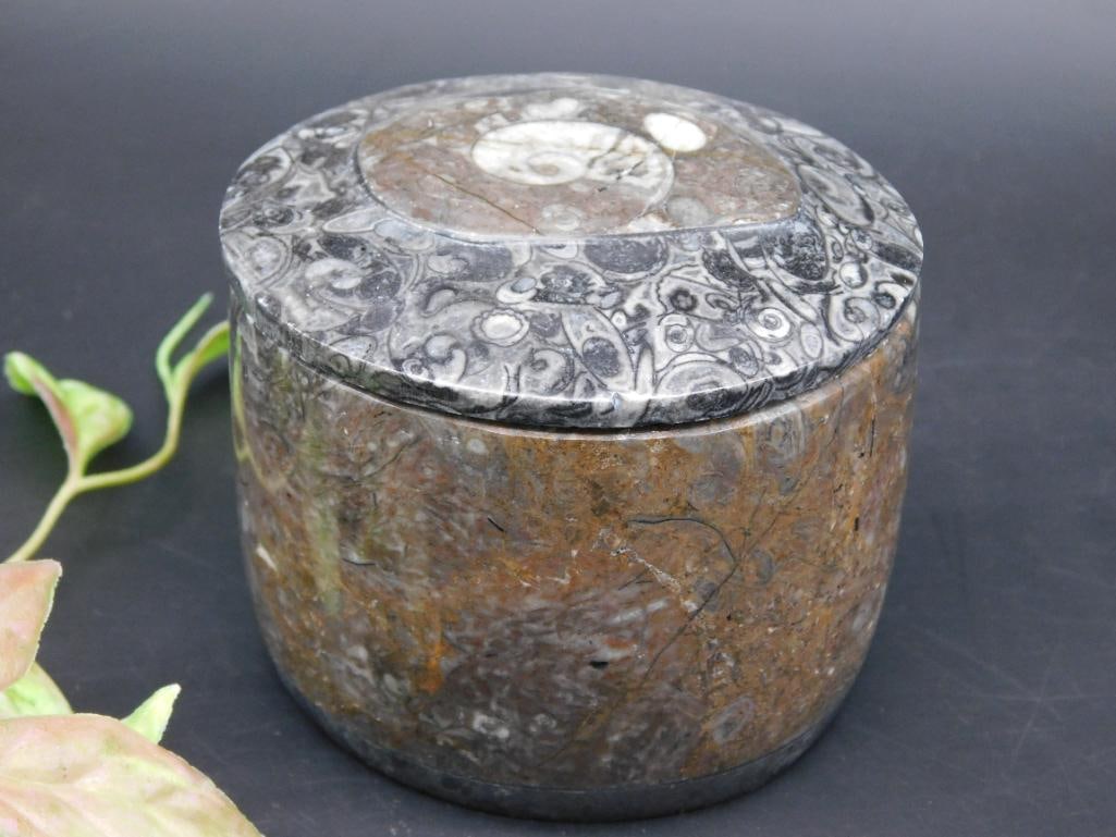 Orthoceras Fossil Stone Lidded Container with Natural Pattern: Orthoceras Fossil Stone Lidded Container with Natural Pattern