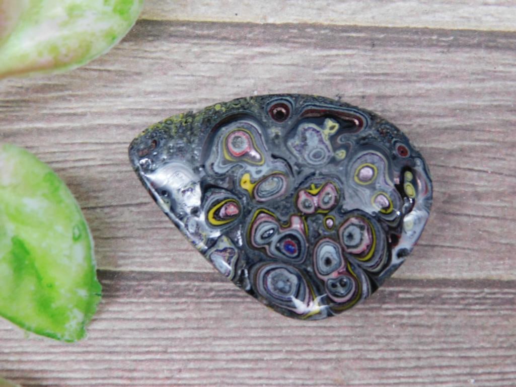 Polished Fordite Cabochon With Multicolored Layers: Polished Fordite Cabochon With Multicolored Layers