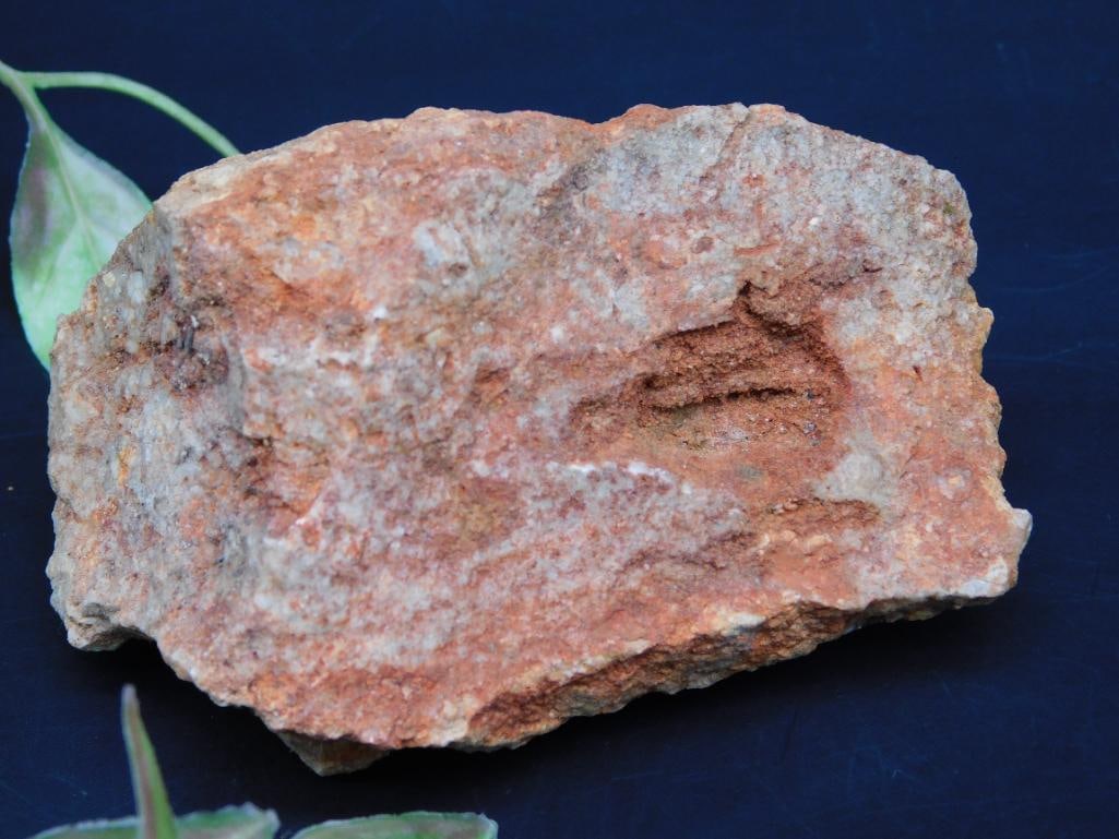 Orange-Toned Rock Specimen With Textured Features: Orange-Toned Rock Specimen With Textured Features