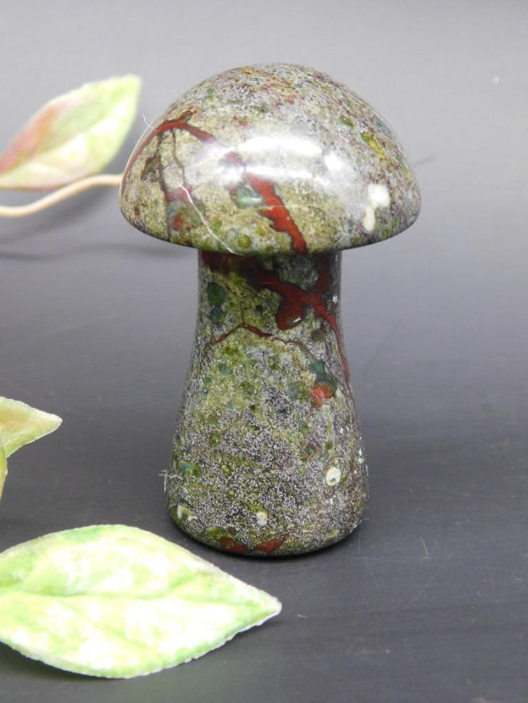 Polished Dragon Bloodstone Mushroom Figurine: Polished Dragon Bloodstone Mushroom Figurine