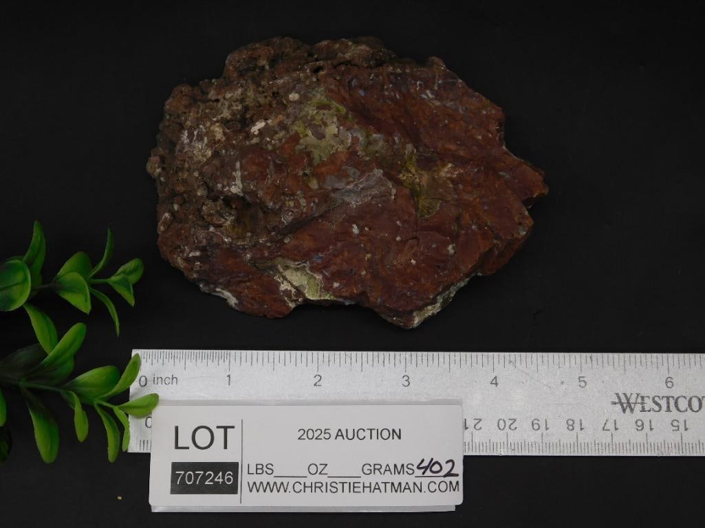 Polished Agate Specimen With Patterns - 3