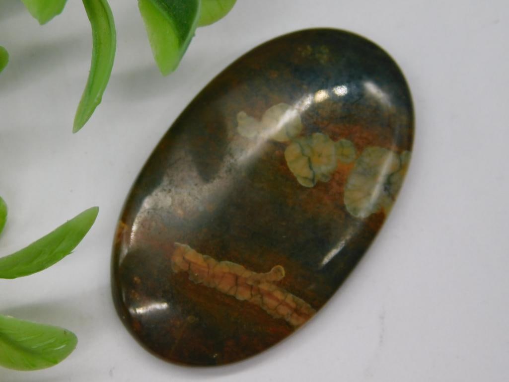 Polished Oval Jasper Cabochon Multicolored: Polished Oval Jasper Cabochon Multicolored