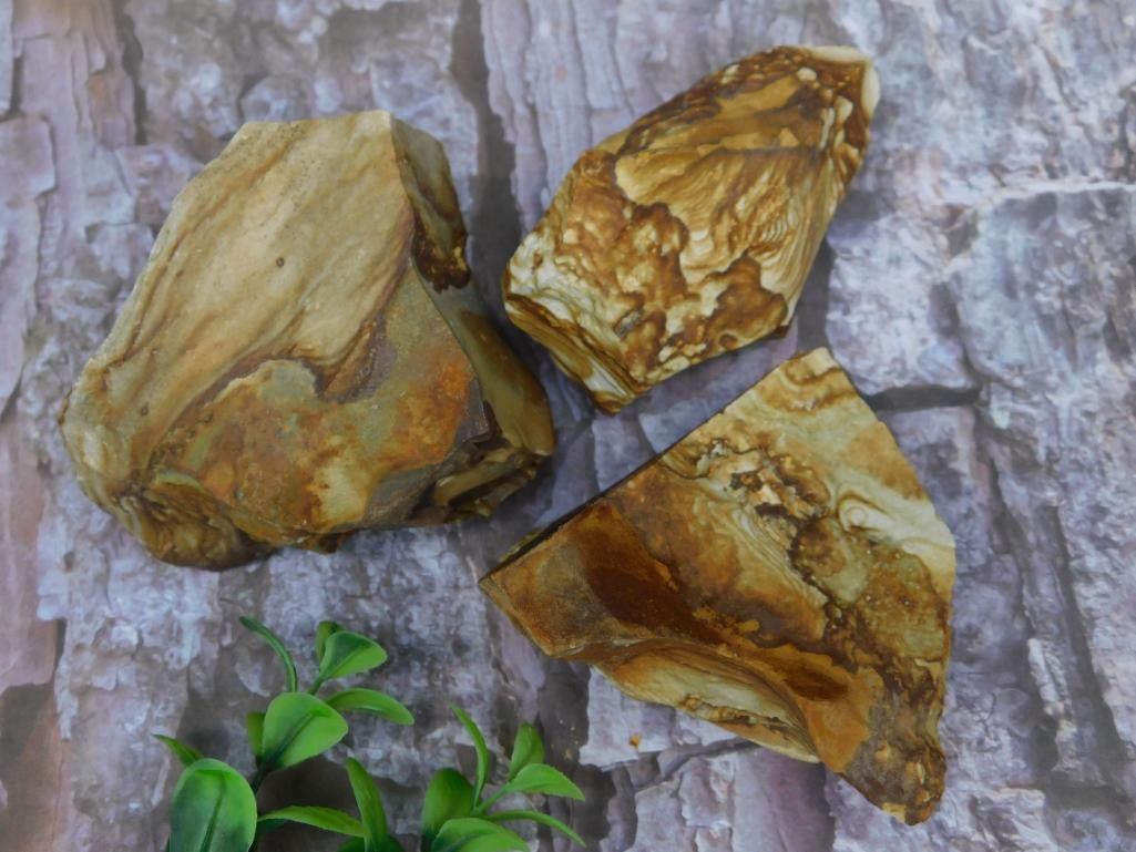 Three Jasper Rock Stone Lapidary Specimen: Three Jasper Rock Stone Lapidary Specimen