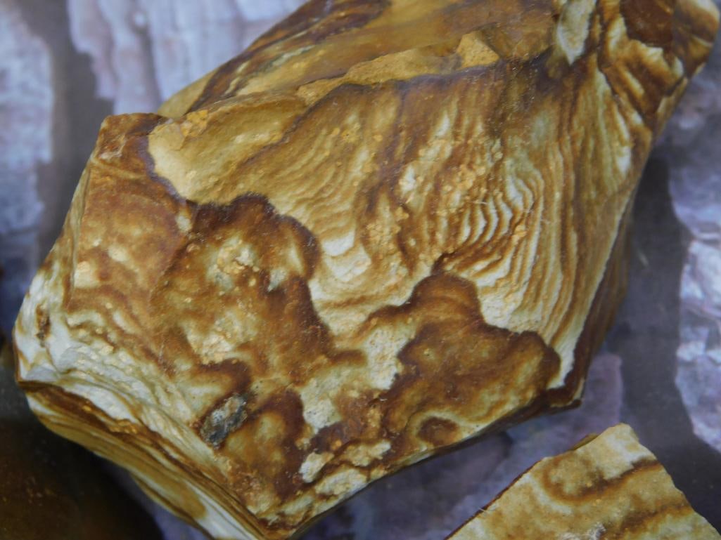 Three Jasper Rock Stone Lapidary Specimen - 2