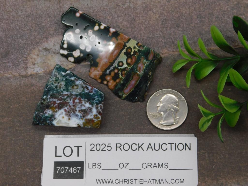 Polished Ocean Jasper Slabs With Unique Patterns - 3