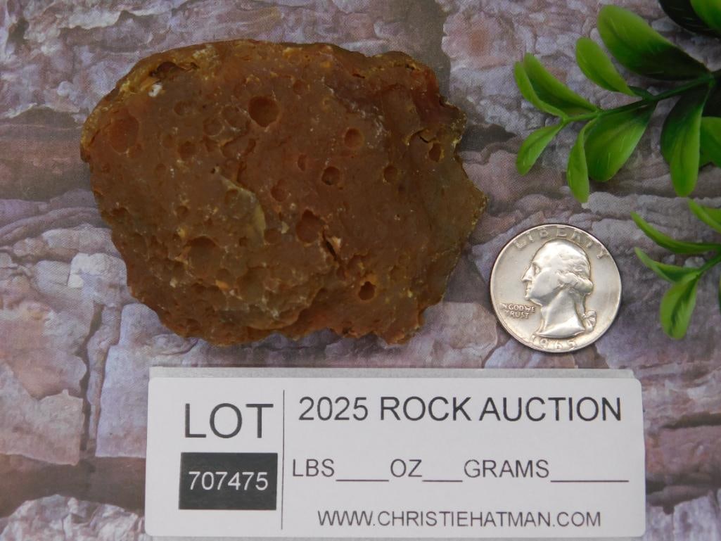 Reddish-Orange Fossilized Rock Specimen - 2