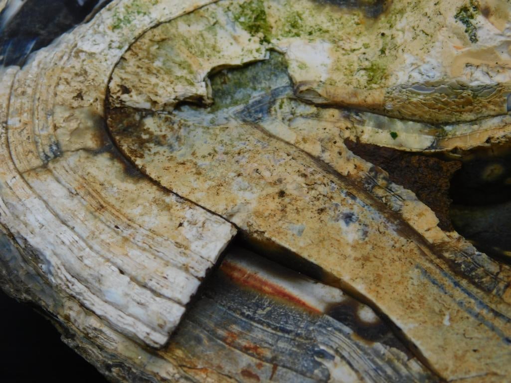 Large Agate Rock Stone Lapidary Specimen - 2