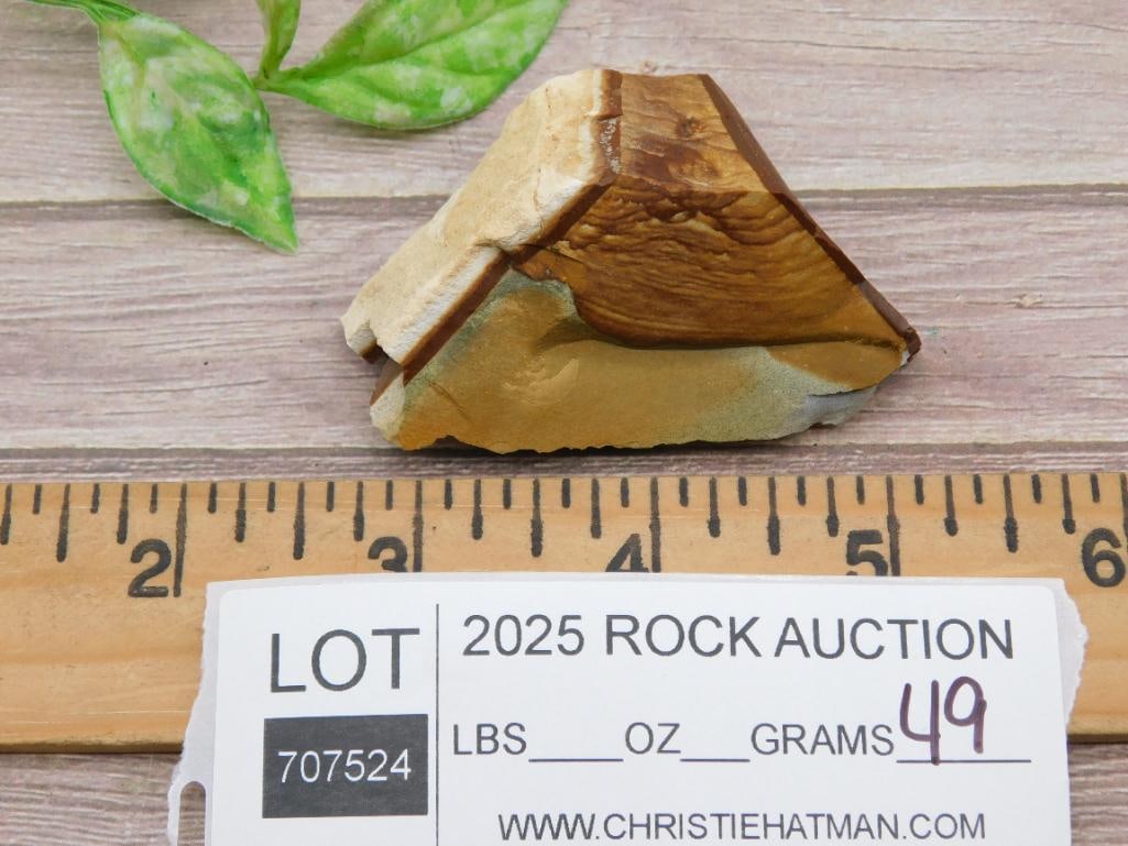 Jasper Rock Stone Lapidary Specimen - 3