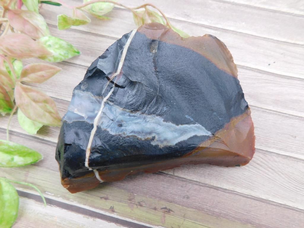 Polished Rock Specimen with Vein Detail: Polished Rock Specimen with Vein Detail