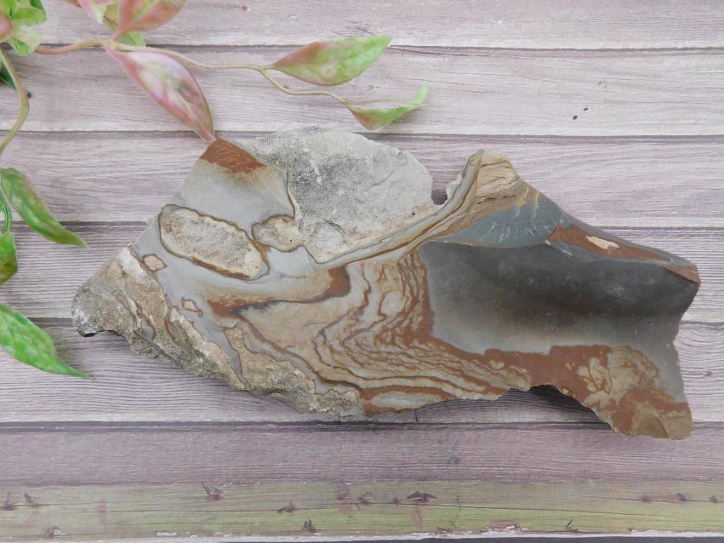 Rock Specimen with Layered Patterns: Rock Specimen with Layered Patterns